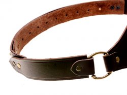 Bodice belt with extension