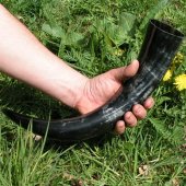 Drinking horn in 0.05 - 0.1 l