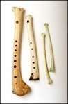 Knochenflöten Schwanenknochen