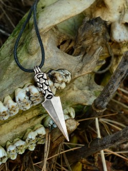 Odin's spear pendant in nature