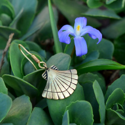 Medieval scallop earring in nature
