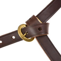 Merovingian belt - brown / brass