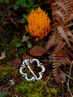 Medieval ring brooch in nature