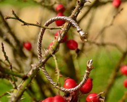 Viking armlet in nature