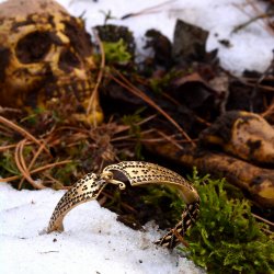 Viking bracelet in nature