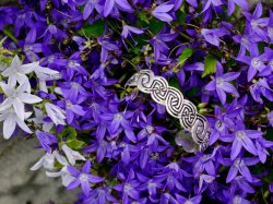 Celtic bracelet in nature