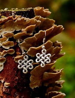 Celtic earrings in nature