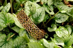 Celtic armlet in nature