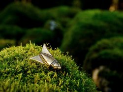 Cicada fibula in nature