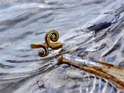 Celtic Fingerring 