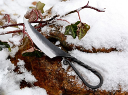 Germanenmesser - in der Natur