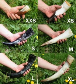 Drinking horns in various sizes