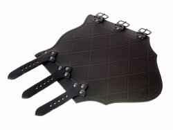 Arm guard with buckle closure