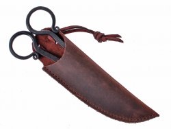 Scissors inside of sheath