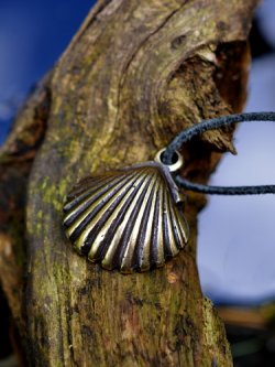 Pilrims shell pendant in nature