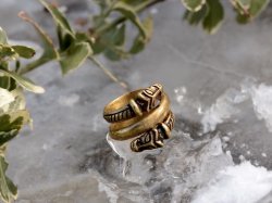 Viking finger ring in nature