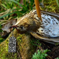 Mittelalter-Ohrring in der Natur