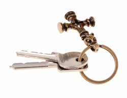Key ring holder with key
