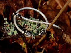 Viking ring brooch in nature