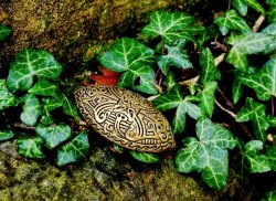 Bowl brooch of the Viking era 