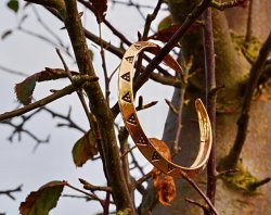 Viking money bangle replica in nature