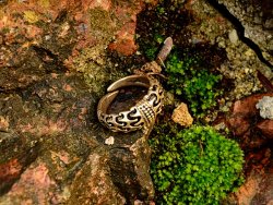 Viking age finger ring from Valse