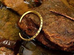 Viking Money bangle in nature