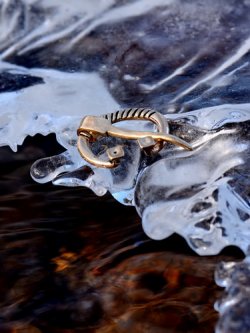 Viking ring brooch in nature