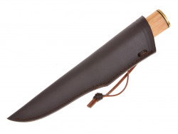 Viking knife inside sheath