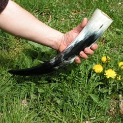 Medieval drinking horn 06 - 0.7 l