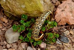 Viking bangle in nature